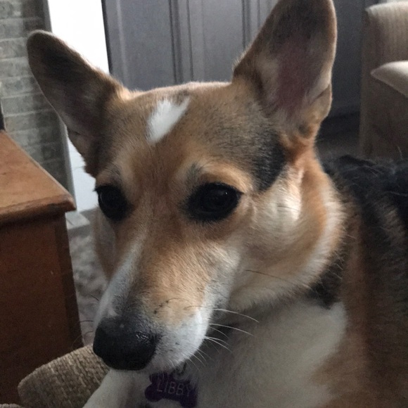 Meet your Posher, Allison - Picture 1 of 1